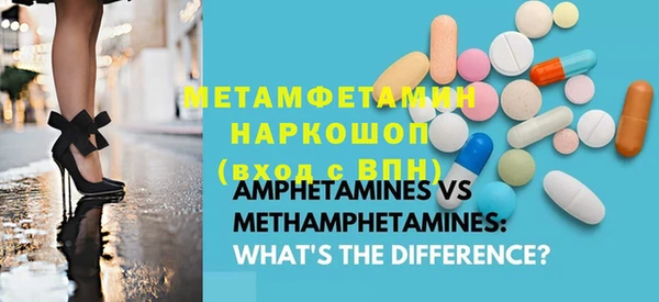 индика Инсар