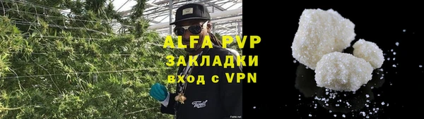 индика Инсар