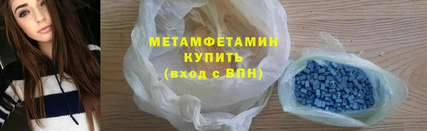 индика Инсар
