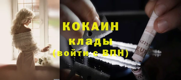 индика Инсар