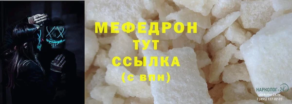 индика Инсар