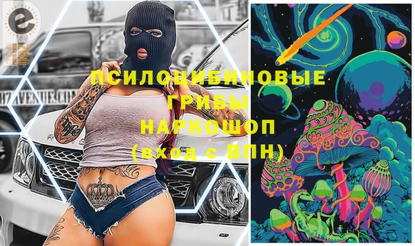 индика Инсар