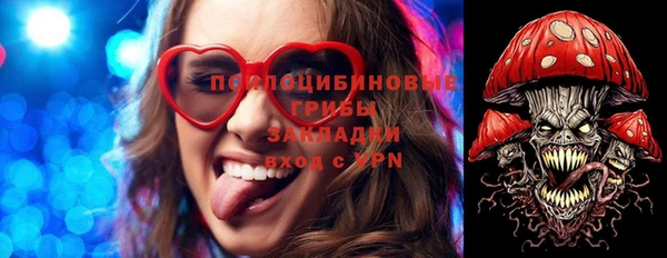 гидра Зерноград