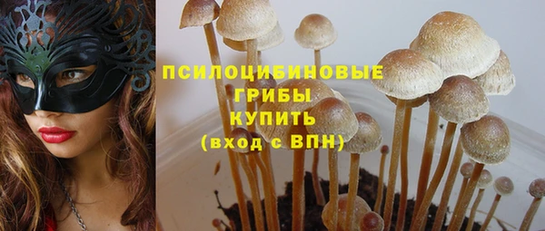 амф Зеленокумск