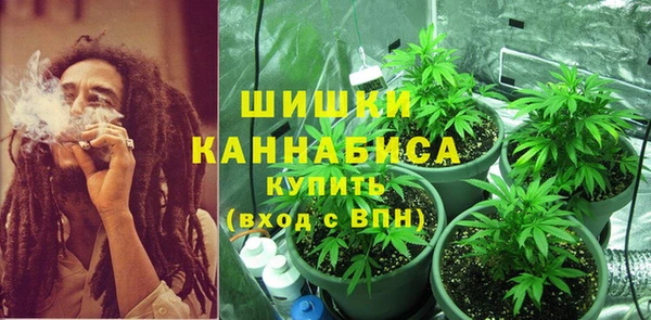 амф Зеленокумск
