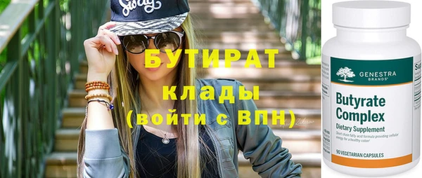 индика Инсар