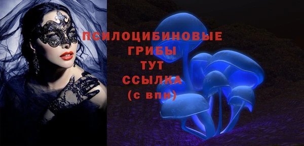 амф Зеленокумск
