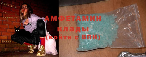 индика Инсар