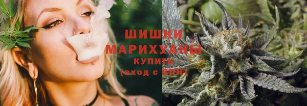 индика Инсар