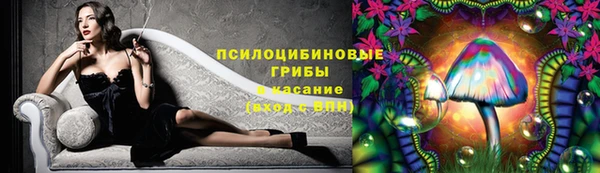 индика Инсар
