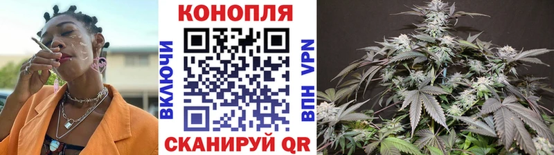 Купить где  Закаменск  Бошки марихуана MAZAR 